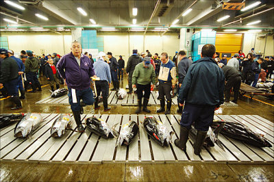 tsukiji07.jpg