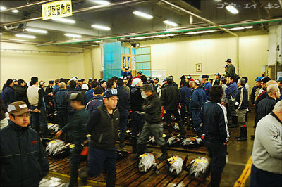 Tsukiji Wholesale Market