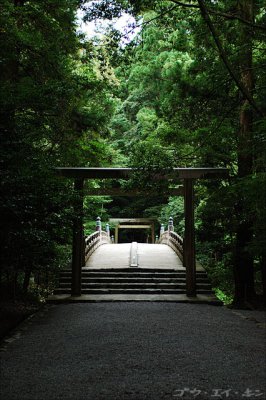 Torii Gate