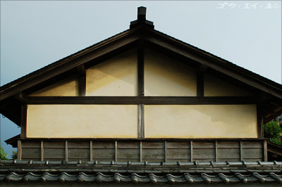 House, detail