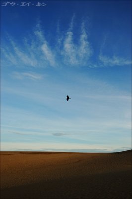 Part 6 To The Sky