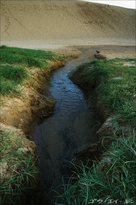 Ravine