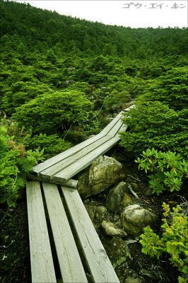 nagano_2006_40.jpg