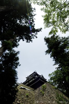 174_matsuecastle.jpg