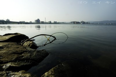 264_shinjiko.jpg