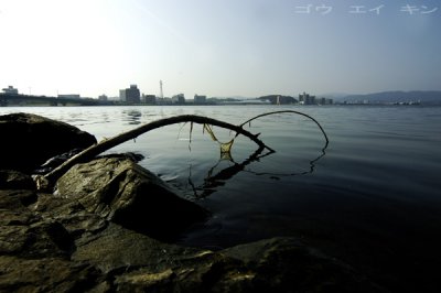 266_shinjiko.jpg