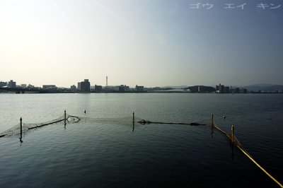 268_shinjiko.jpg