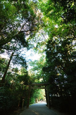 Second Torii Gate