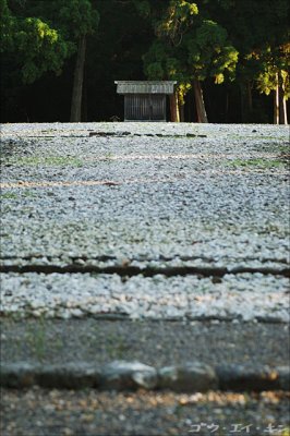 Kodenchi