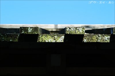 Gojoden, roof detail