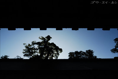 Silhouette