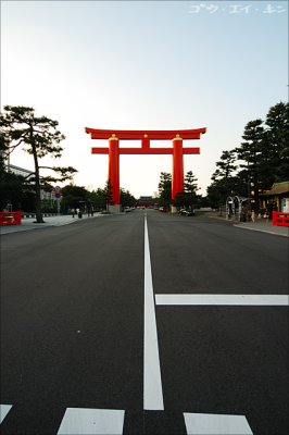 Torii Gate