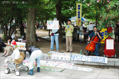 Reading of poems for peace