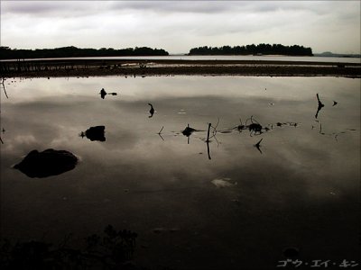 Lower Seletar
