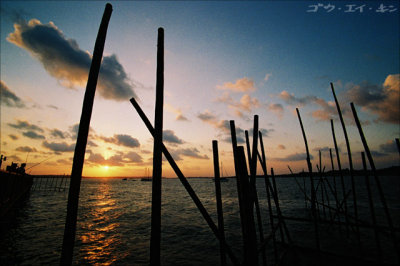 changi_boardwalk_07.jpg