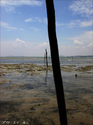 2004 may