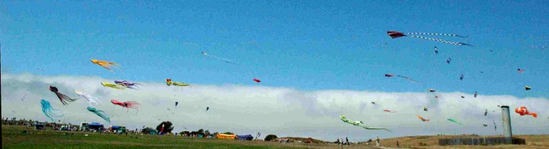 DSC_0186-berkeley kites 2007.jpg