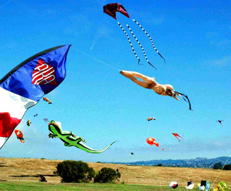 DSC_0153-Berkeley kites 2007-floating.jpg