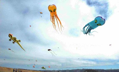 berkeley_kite_fes_2007