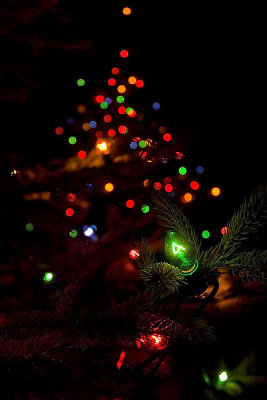 Christmas Tree  ~  November 26  [19]