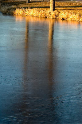 Icy Reflections  ~  December 19  [5]