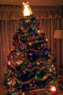 Christmas Tree  ~ December 30