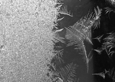 Ice on My Window....  ~  January 13