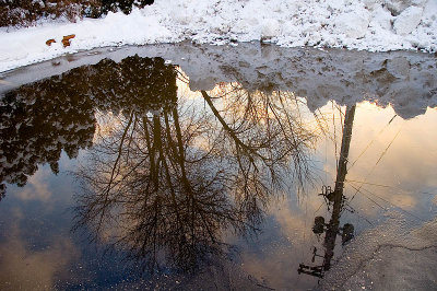 Winter Reflections  ~  February 27