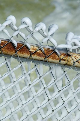 Chain Link Fence  ~  April 9
