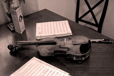 Sepia Violin  ~  July 25