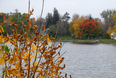 Fall on the Mill Pond  ~  October 7  [10]