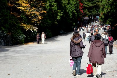 nikko 51.JPG
