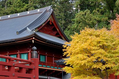 nikko 56.JPG