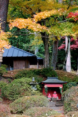 nikko 57.JPG