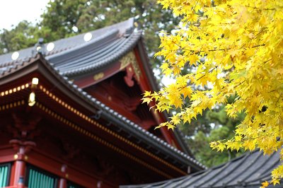 nikko 58.JPG
