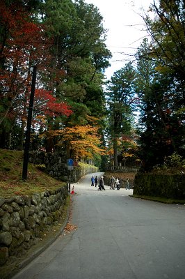 nikko 62.JPG