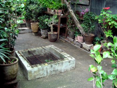 DSC01598.JPG