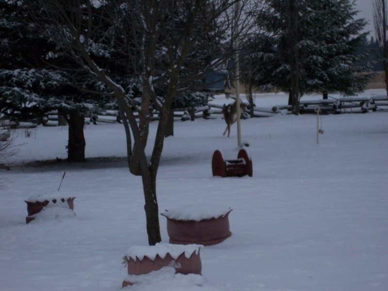 100_0154.jpg