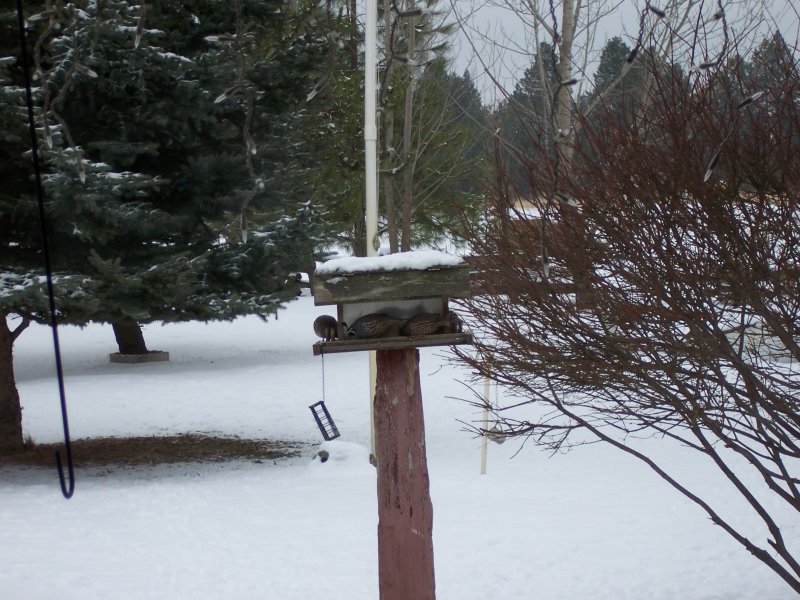 100_0163.jpg
