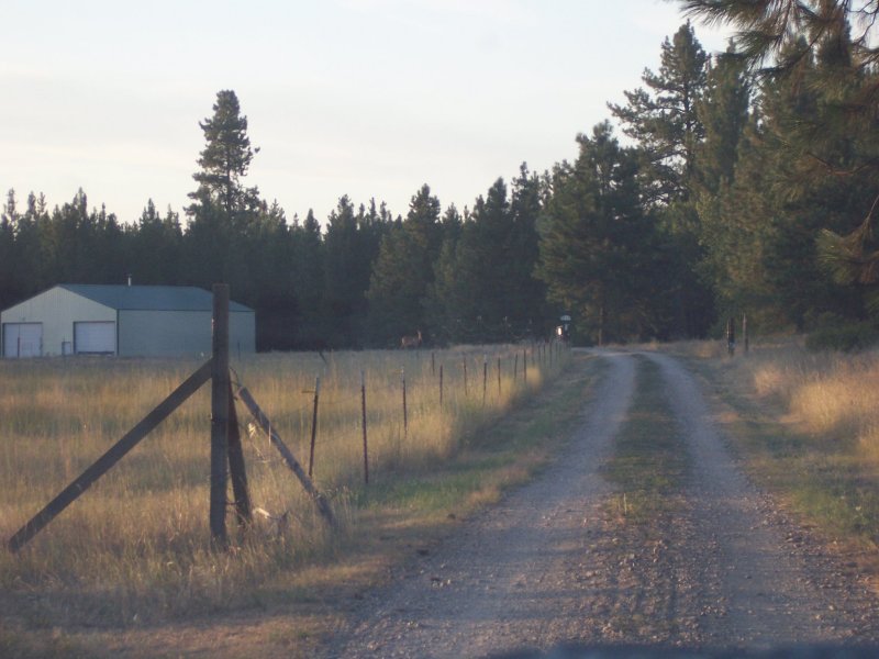 100_0864.jpg