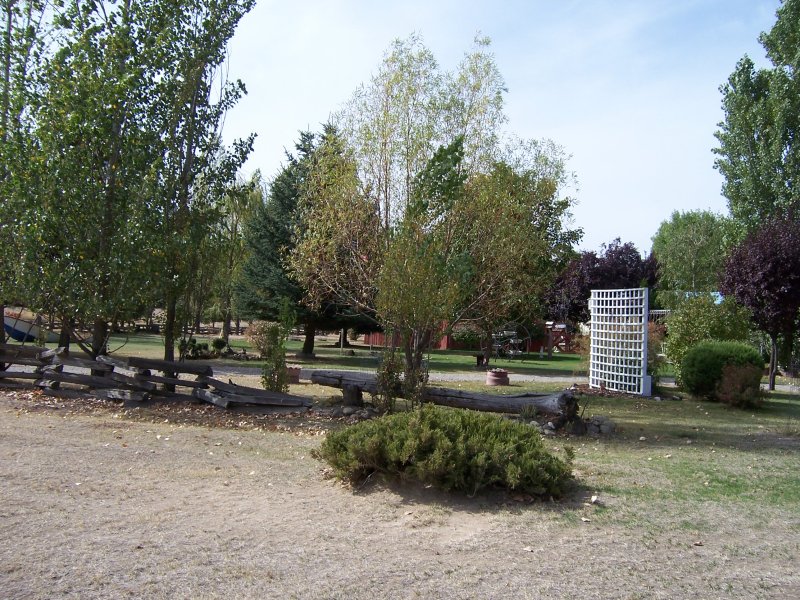 100_1221.jpg