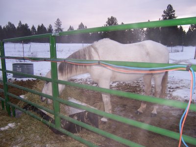 100_0306.jpg