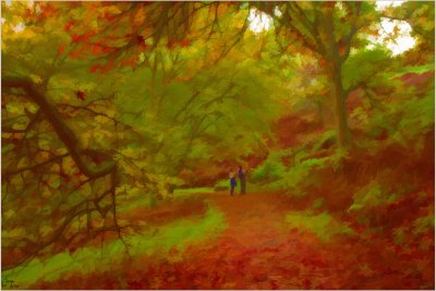 A Beautiful Walk.jpg