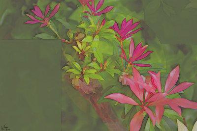 New Growth.jpg