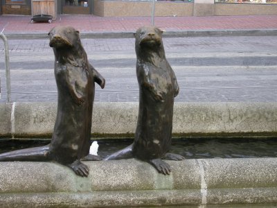DSCN6559-w.JPG