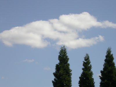 DSCN6598-w.JPG