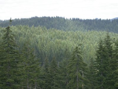 DSCN6621-w.JPG