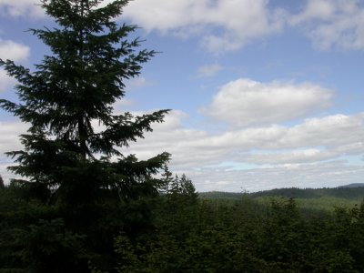 DSCN6622-w.JPG