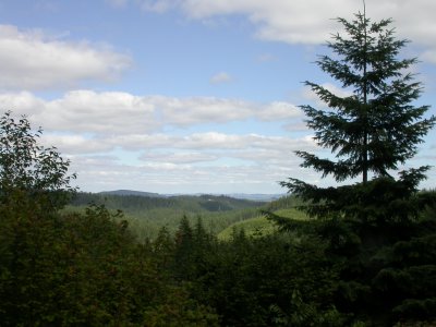 DSCN6623-w.JPG