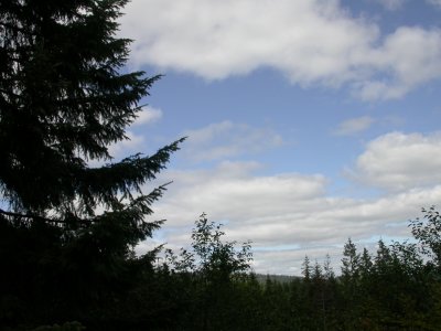 DSCN6624-w.JPG